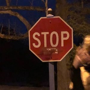 Meet your Posher, Jonah